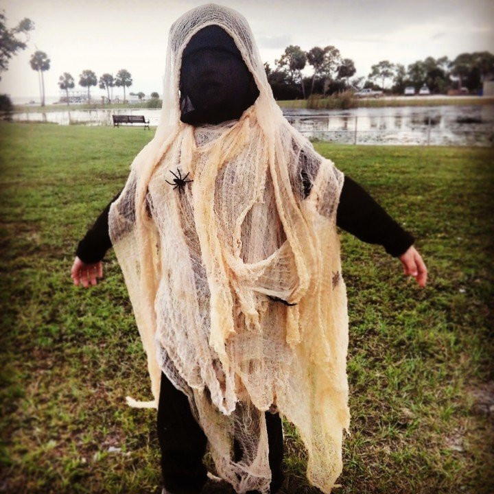 DIY Ghost Costume
 Cheesecloth Ghost Costume