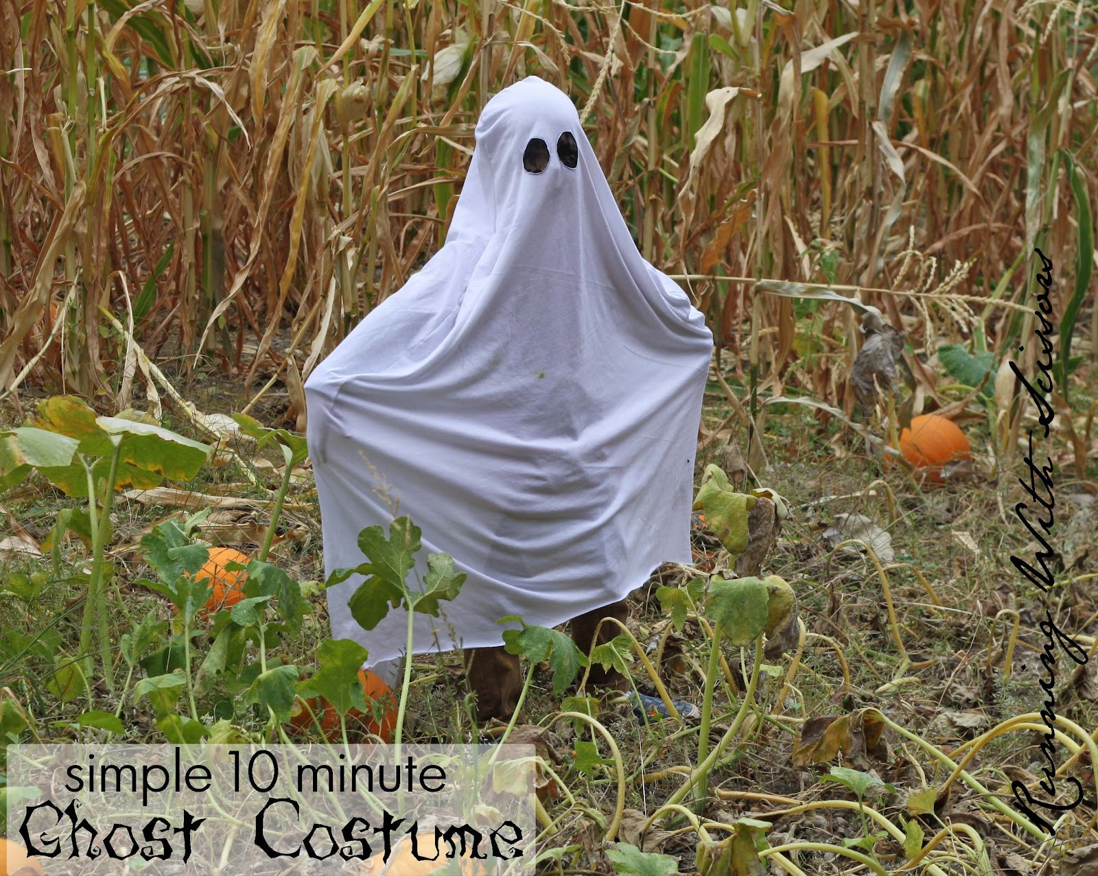 DIY Ghost Costume
 Running With Scissors Easy DIY Ghost Costume
