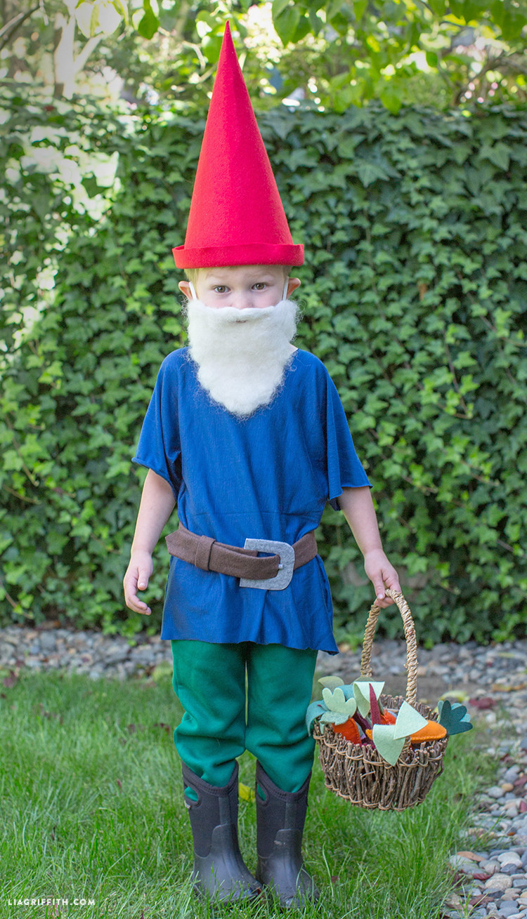 DIY Gnome Costume
 DIY Gnome Costume Lia Griffith