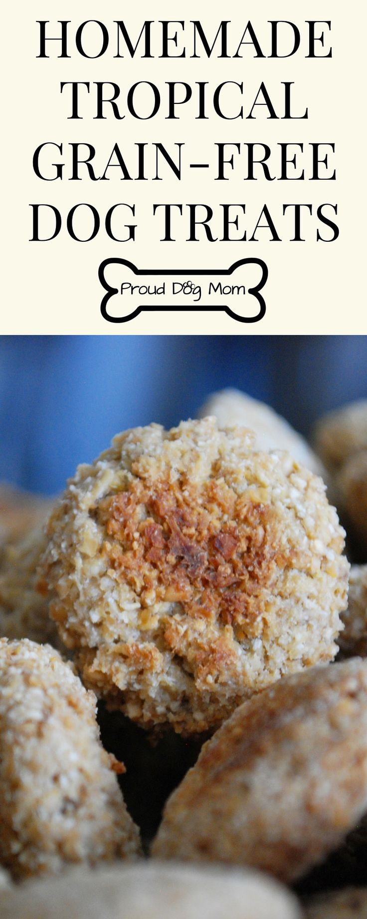 DIY Grain Free Dog Treats
 1000 images about Proud Dog Mom on Pinterest