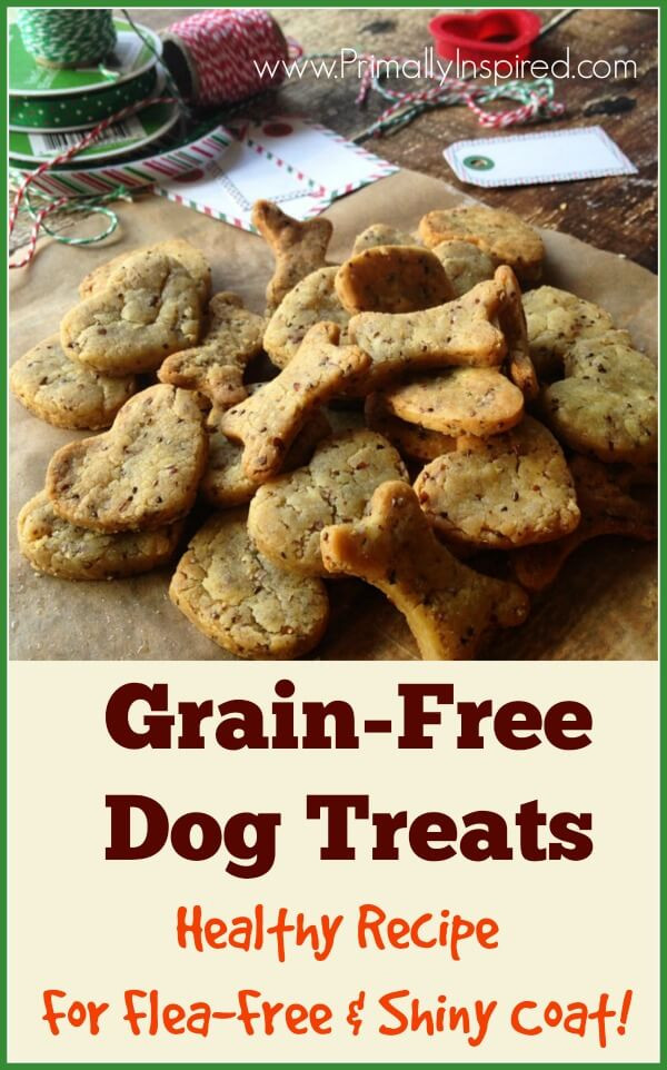 DIY Grain Free Dog Treats
 grain free dog treat recipes