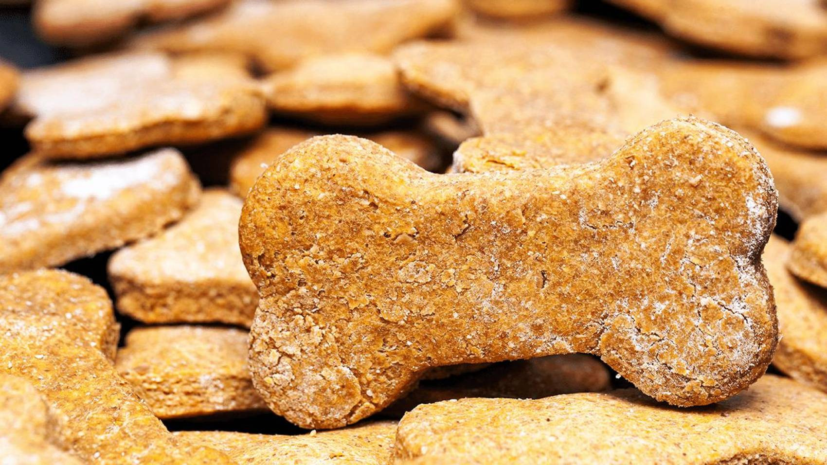 DIY Grain Free Dog Treats
 Homemade Grain Free Dog Treats