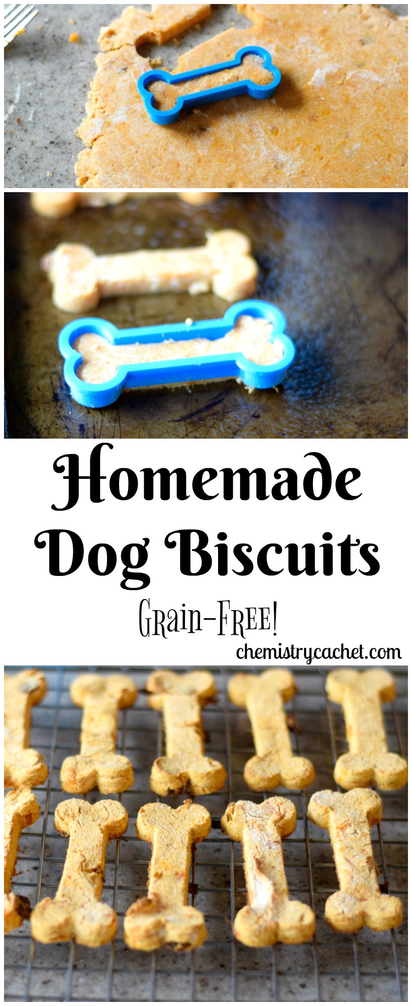 DIY Grain Free Dog Treats
 Easy Homemade Grain free Dog Biscuits great t idea