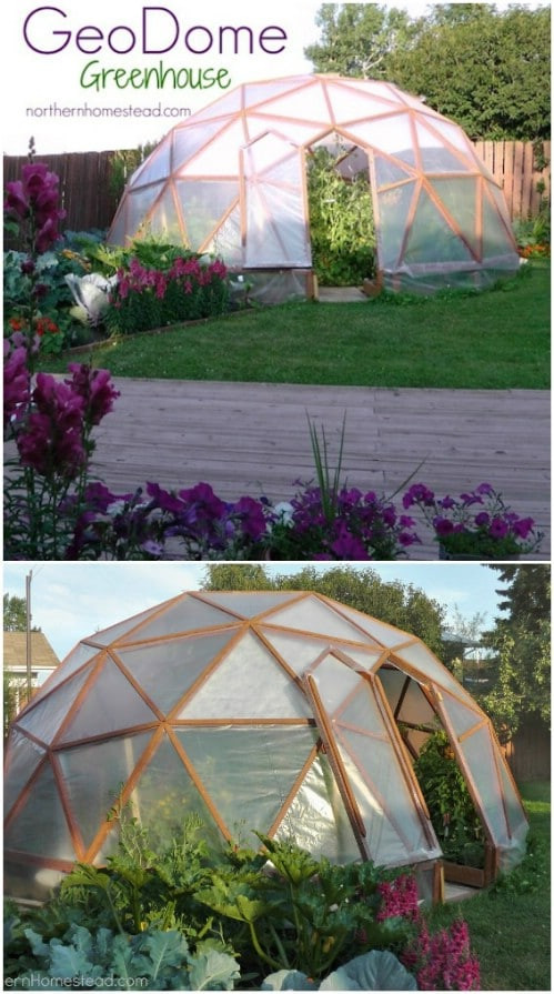 DIY Greenhouse Plans Free
 20 Free DIY Greenhouse Plans You’ll Want To Make Right