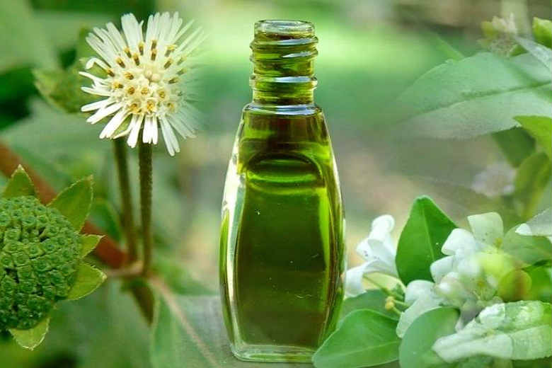DIY Hair Darkener
 Use These Oils To Darken Hair Naturally Uses And Simple