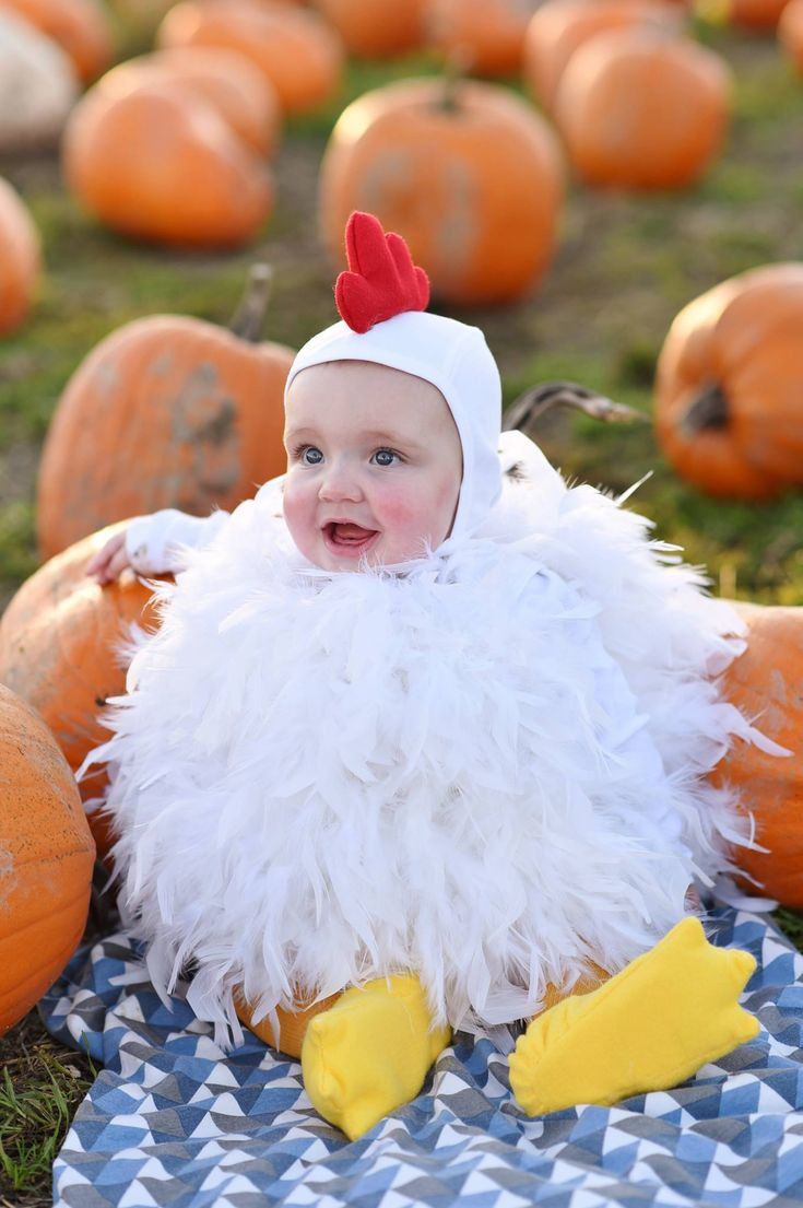 DIY Halloween Costumes For Babies
 DIY Baby Chicken Halloween Costume