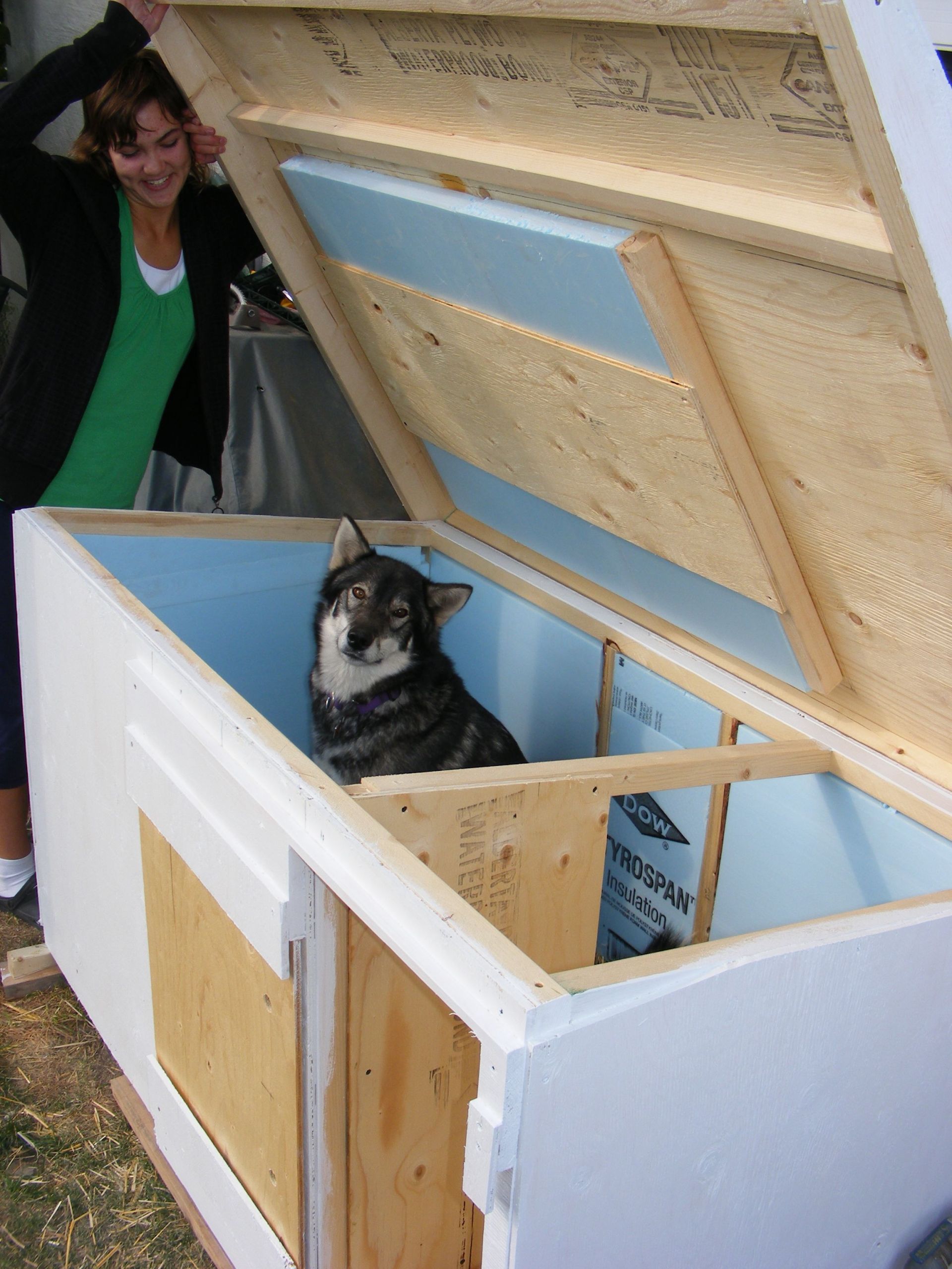 DIY Heated Dog House
 For Sale