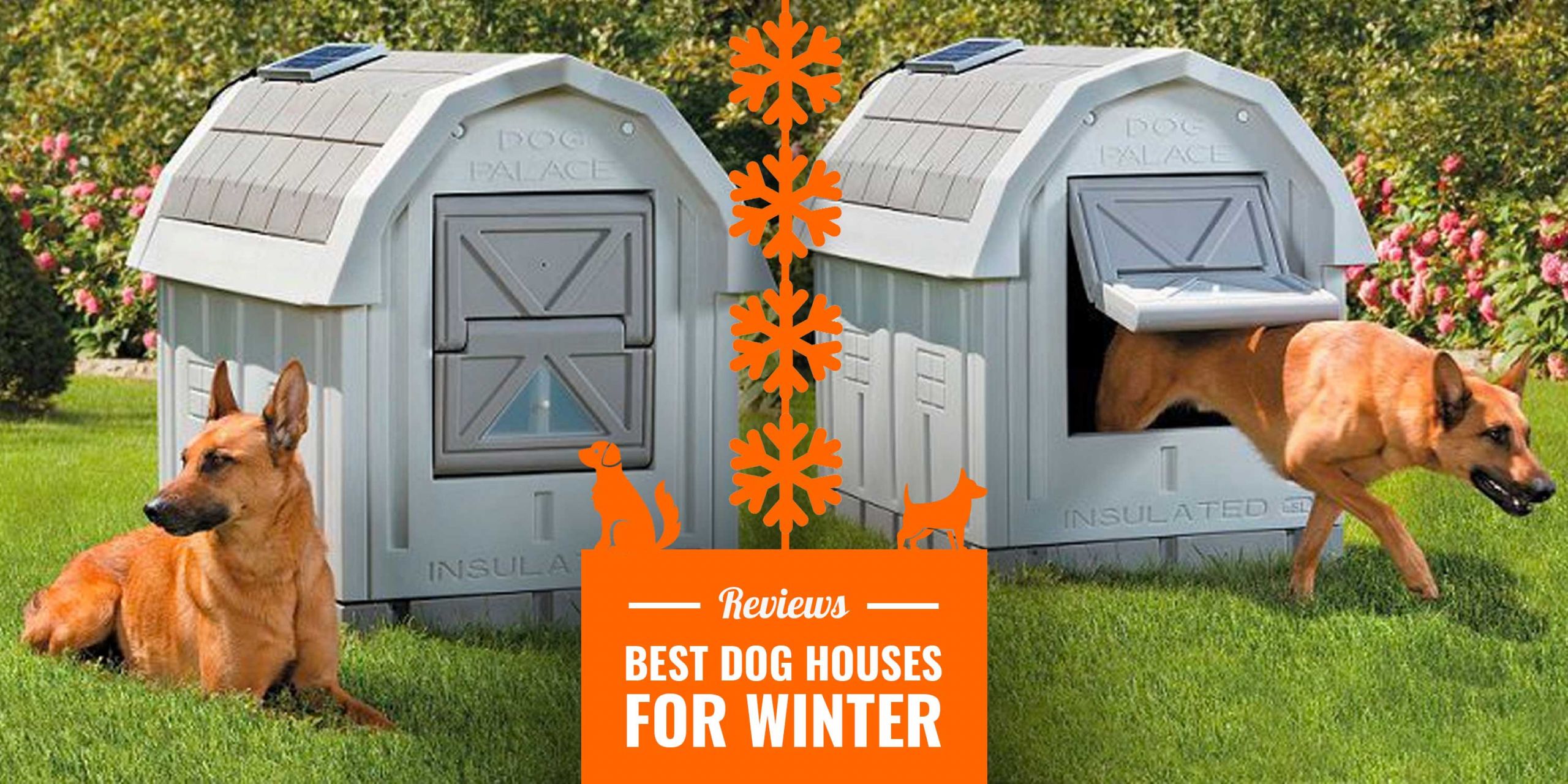 DIY Heated Dog House
 10 Best Dog Houses for Winter — Reviews Insulation Tips