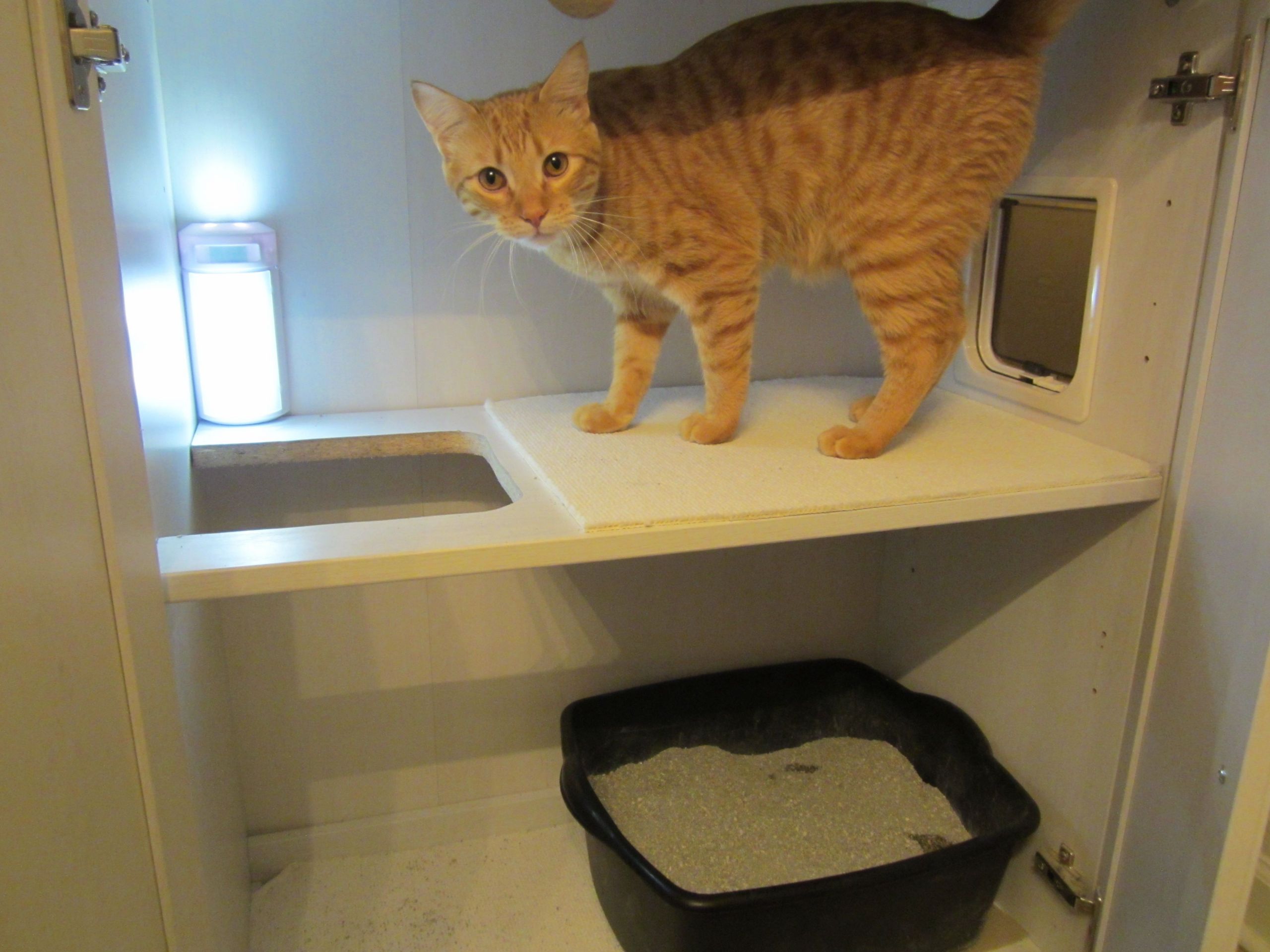 DIY Hidden Cat Litter Box
 DIY Hidden Litter Box We got rid of the litter trails and