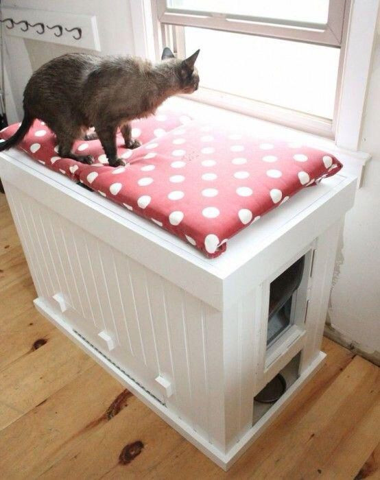 DIY Hidden Cat Litter Box
 Hidden Kitty Litter Box