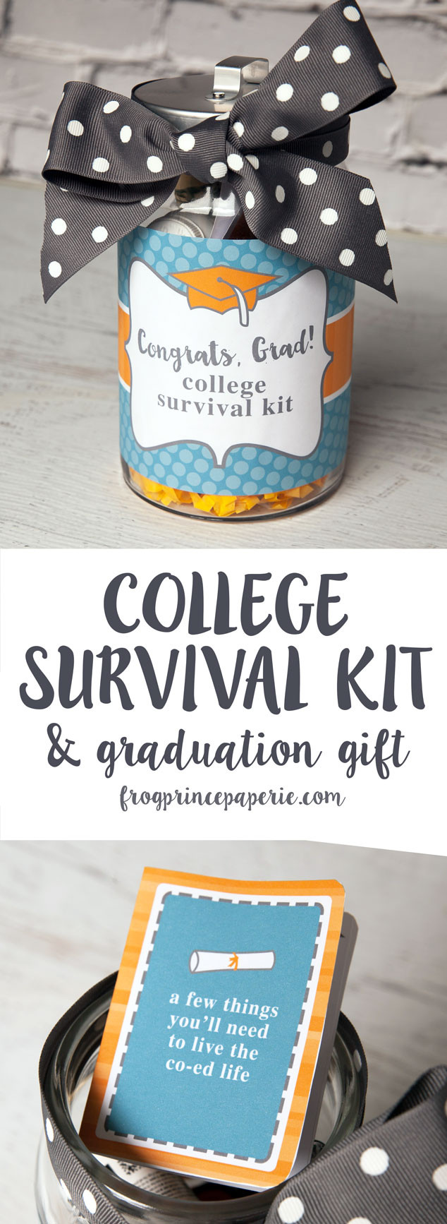 DIY High School Graduation Gifts
 College Survival Kit DIY Graduation Gift Frog Prince Paperie