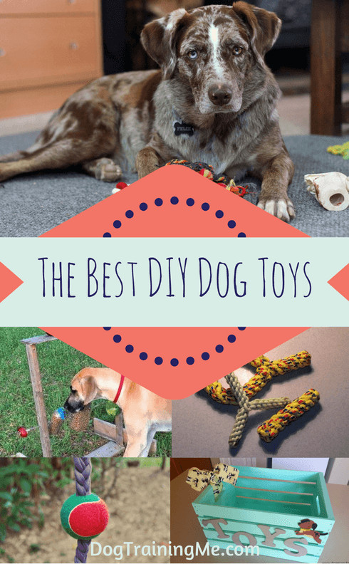 DIY Indestructible Dog Toys
 The Best DIY Dog Toys From Easy to Indestructible