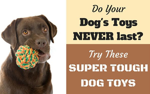 DIY Indestructible Dog Toys
 10 Best Toughest Durable Dog Toys For Heavy Chewers