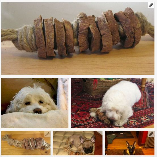 DIY Indestructible Dog Toys
 44 Really Cool Homemade DIY Dog Toys Your Dog Will Love