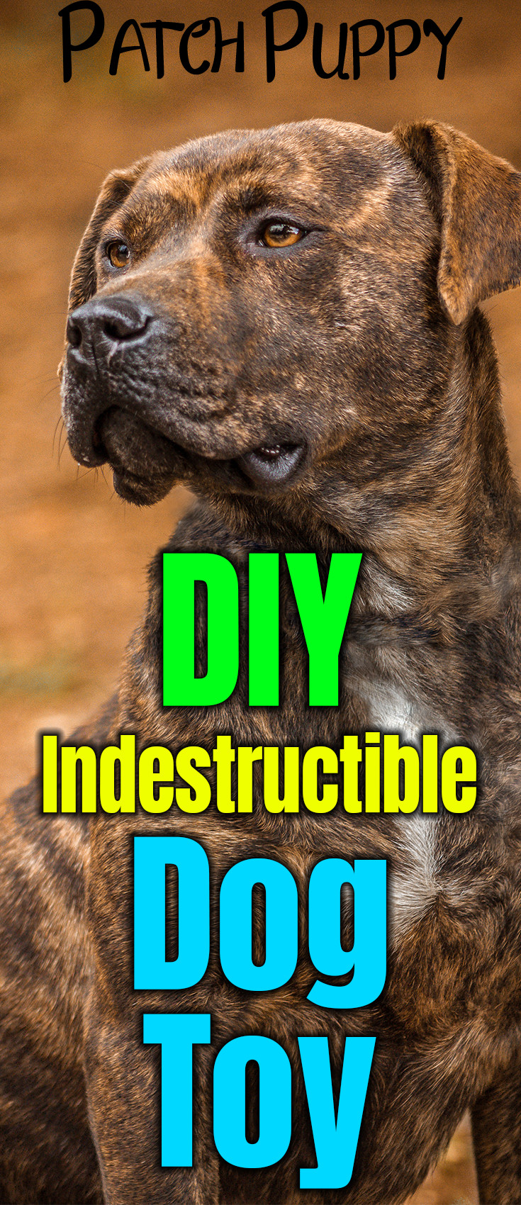 DIY Indestructible Dog Toys
 Sweet Potato Dog Treats on a Rope DIY Indestructible Dog