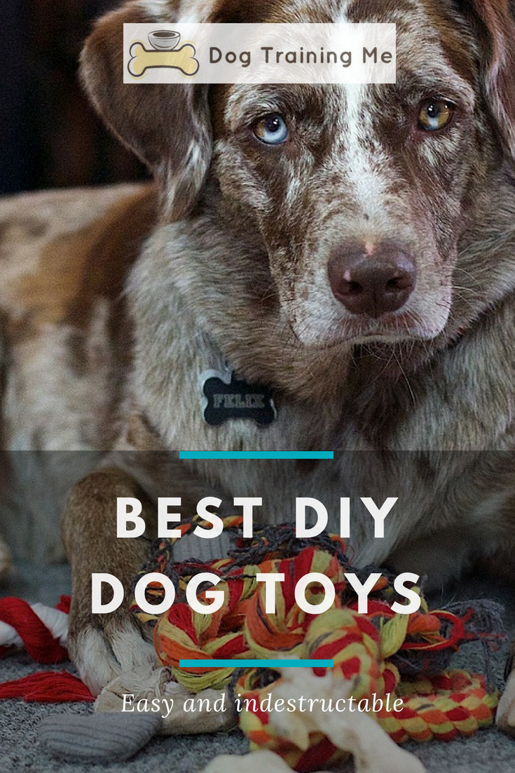 DIY Indestructible Dog Toys
 The Best DIY Dog Toys From Easy to Indestructible