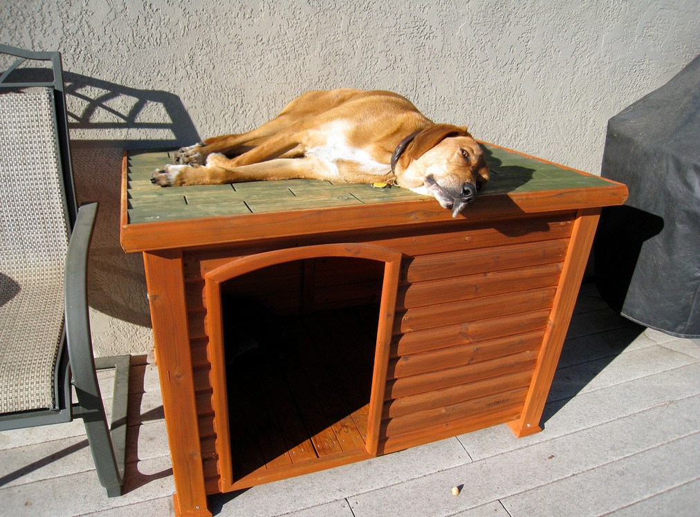 DIY Indoor Dog Kennel Plans
 DIY Indoor Dog Kennel
