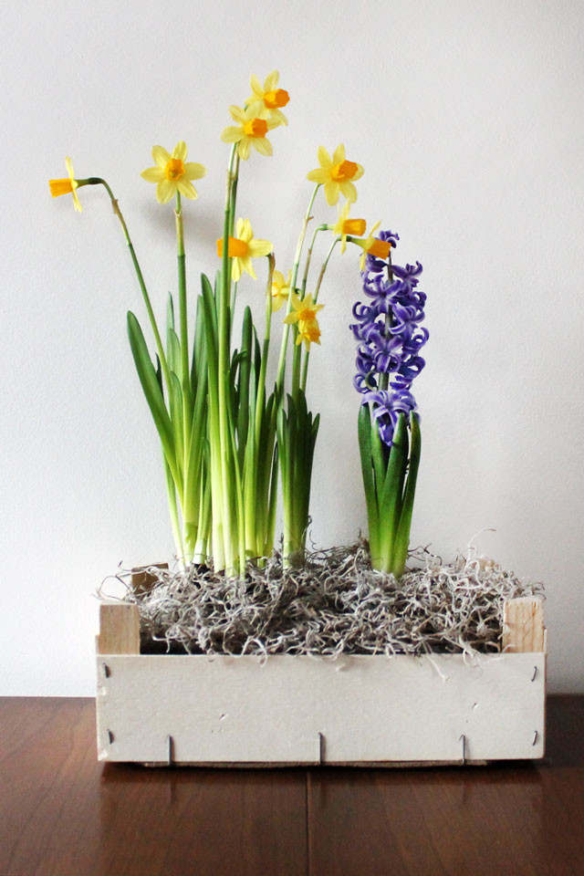 DIY Indoor Planter Box
 Making Something From Trash An Orange Crate Be es an