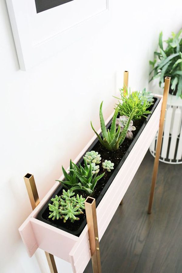 DIY Indoor Planter Box
 diy indoor cactus with wooden box