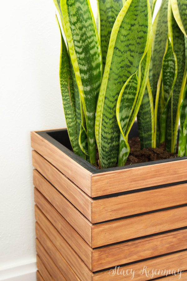 DIY Indoor Planter Box
 DIY Modern Planter Box