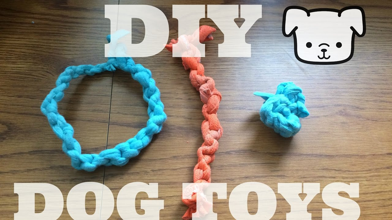 DIY Interactive Dog Toys
 3 Easy DIY Dog Toys