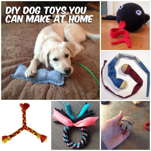 DIY Interactive Dog Toys
 358 best images about Dog toys on Pinterest