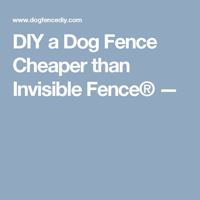DIY Invisible Dog Fence
 DIY a Dog Fence Cheaper than Invisible Fence —