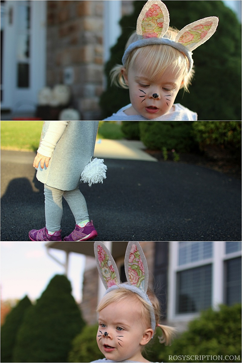DIY Kids Bunny Costume
 DIY Kids Animal Dress up Costumes Rosyscription