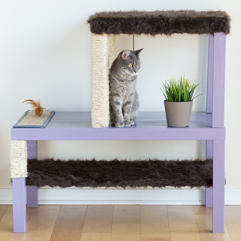 DIY Kitty Condos
 Make a Homemade Cat Condo By Brittany Goldwyn