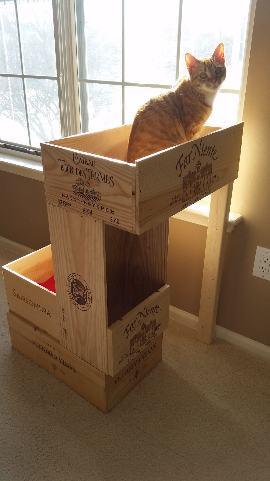 DIY Kitty Condos
 Homemade cat condo made from wine crates I love this