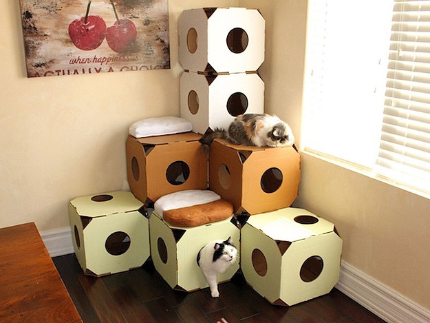 DIY Kitty Condos
 Cardboard Furniture The Cardboard Cat Condos Your Kitty