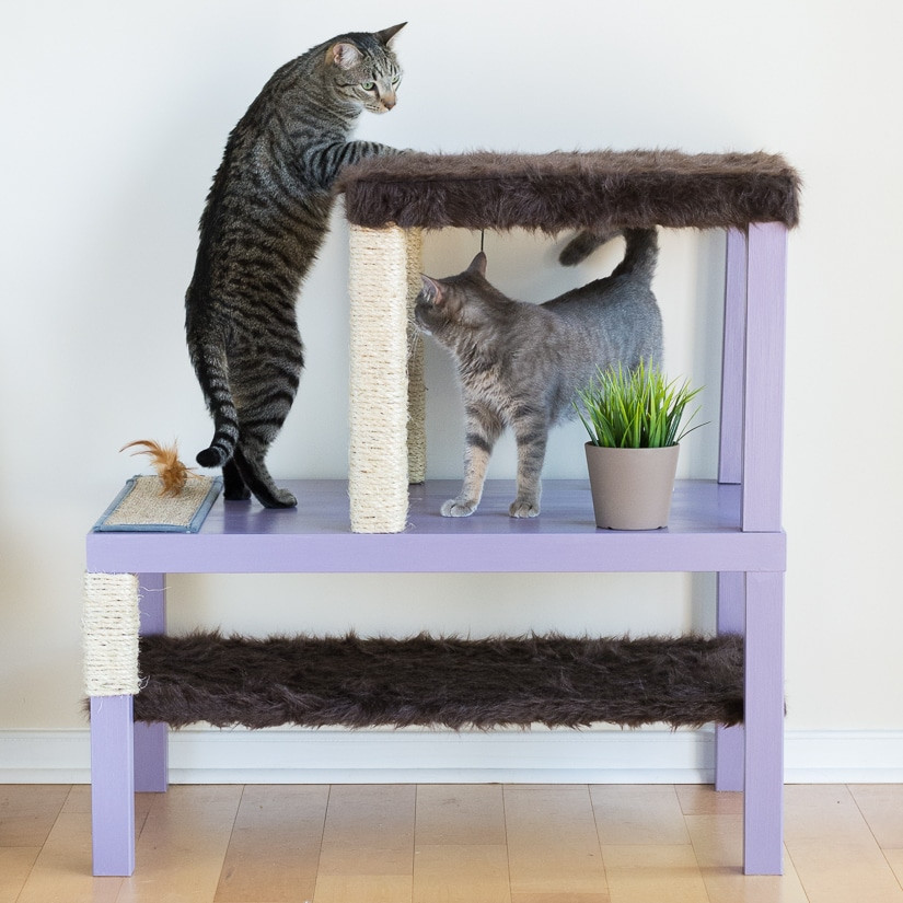 DIY Kitty Condos
 Make a Cat Tree Using Real Branches My Amazing DIY Cat Tree