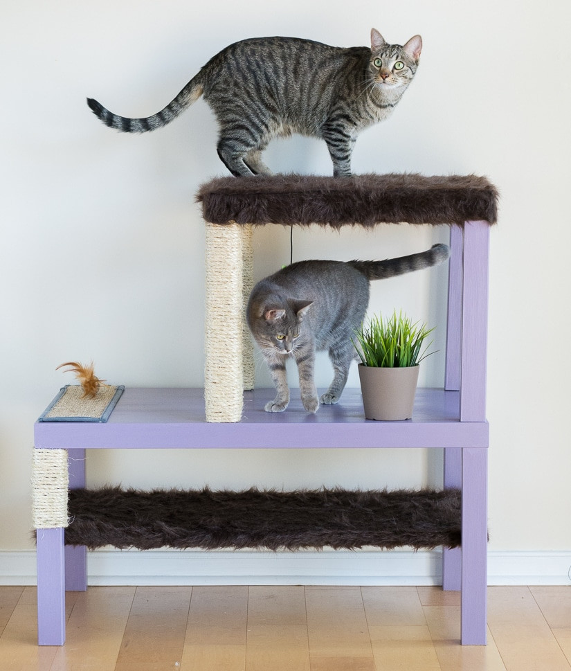 DIY Kitty Condos
 Make a Homemade Cat Condo By Brittany Goldwyn