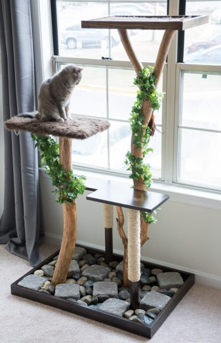 DIY Kitty Condos
 40 Cool DIY Cat Tree Kitty Condos or Cat Climbers