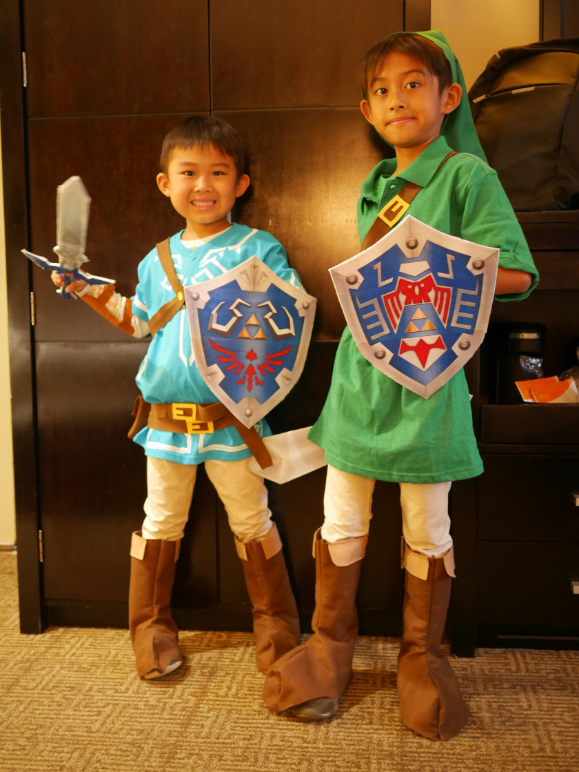 DIY Link Costume
 DIY LINK COSTUME Legend of Zelda – Breath of the Wild