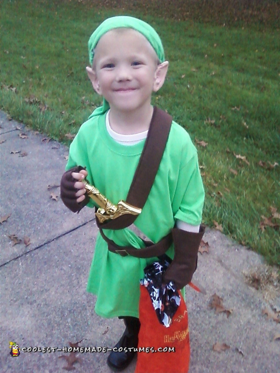 DIY Link Costume
 Mini Link from Zelda DIY Costume