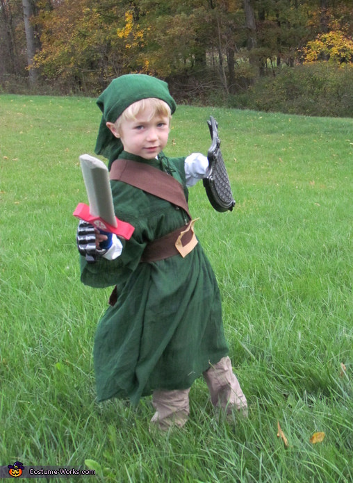 DIY Link Costume
 Link from Zelda Halloween Costume