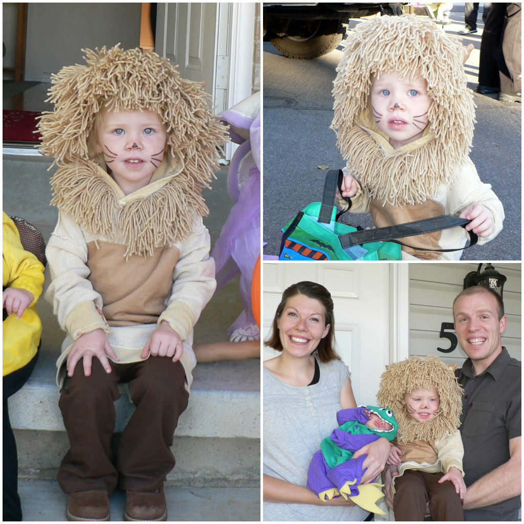 DIY Lion Costume For Adults
 Homemade Halloween Costumes for Kids and Families Bless