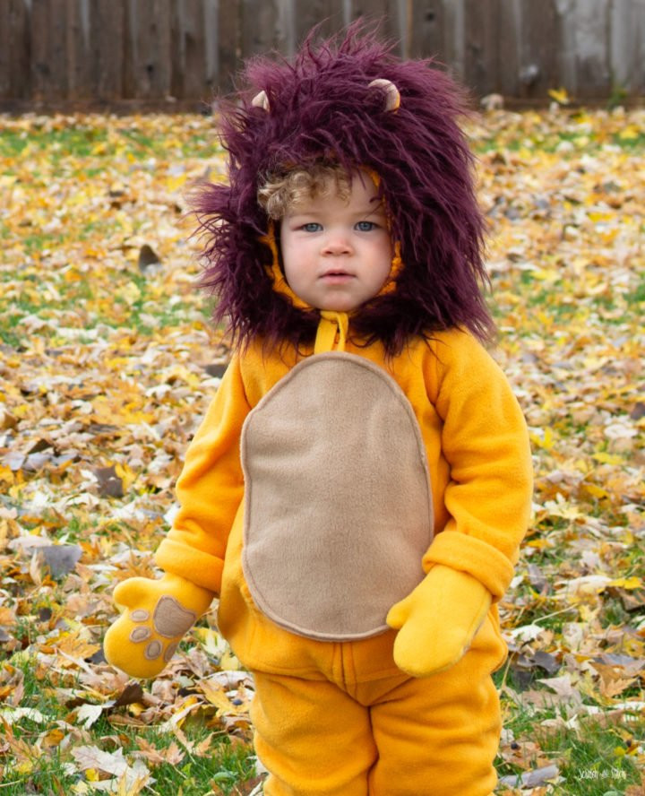 DIY Lion Costume For Adults
 DIY Lion Costume for Babies Kids or Adults