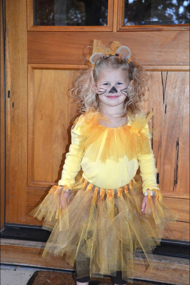 DIY Lion Costume For Adults
 DIY lion tutu costume Pinterest made me do it