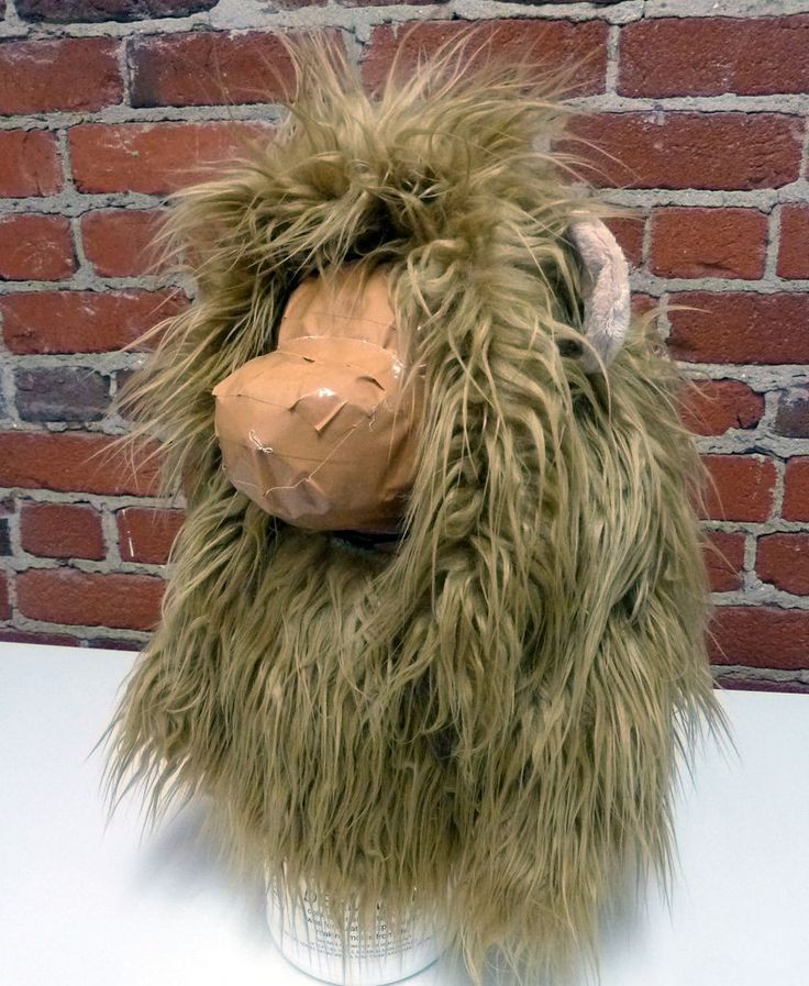 DIY Lion Costume For Dog
 Lion Dog Costume