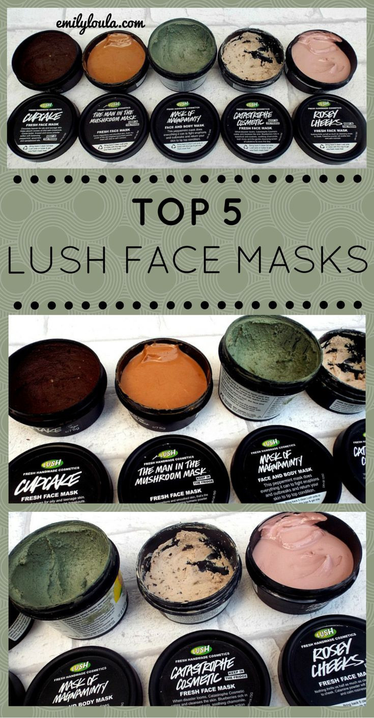 DIY Lush Face Mask
 The Best Diy Lush Face Mask Home DIY Projects