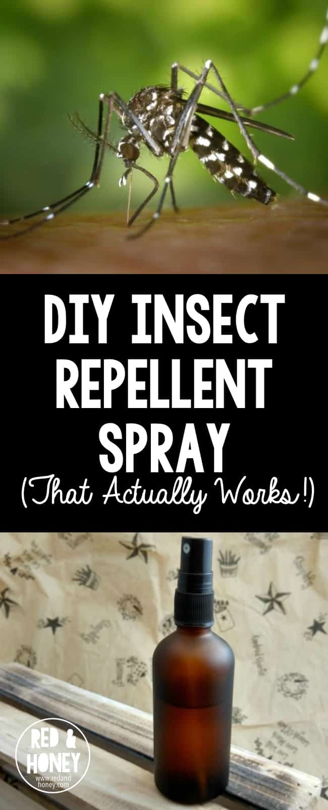 DIY Mosquito Repellent For Dogs
 DIY Insect Repellent Spray with Essential Oils That
