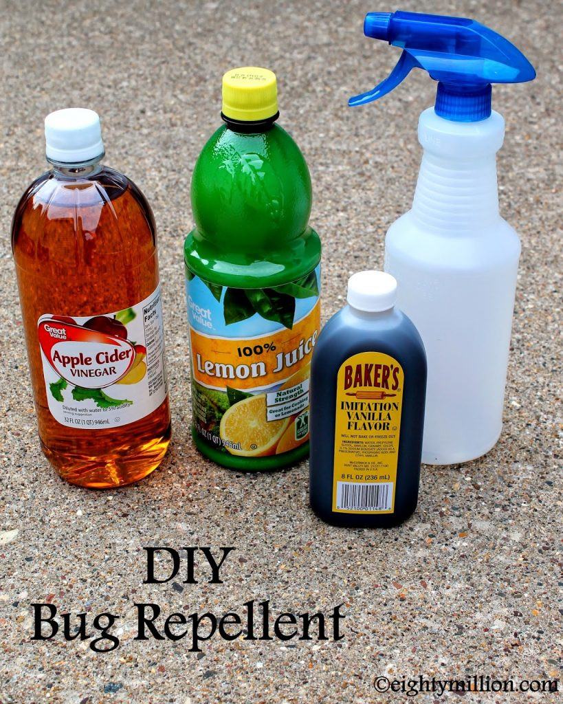 DIY Mosquito Repellent For Dogs
 DIY Bug Repellent for Humans & Dogs Eightymillion