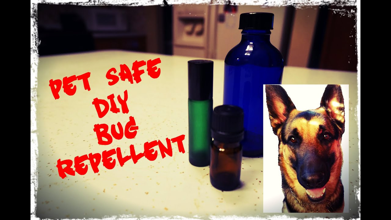 DIY Mosquito Repellent For Dogs
 DIY The Best Natural Dog Friendly Bug Repellent for Ticks