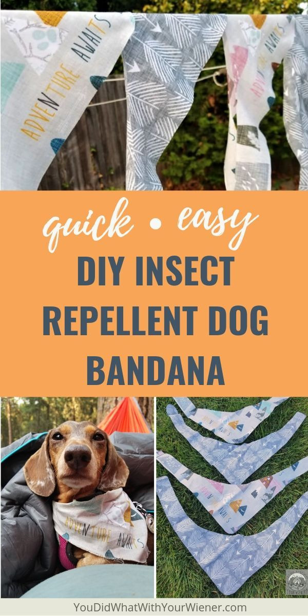 DIY Mosquito Repellent For Dogs
 Easy DIY Insect Repellent Dog Bandana