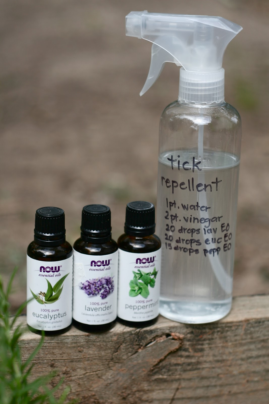 DIY Mosquito Repellent For Dogs
 Kornerstone Farms Easy DIY Natural TICK Repellent