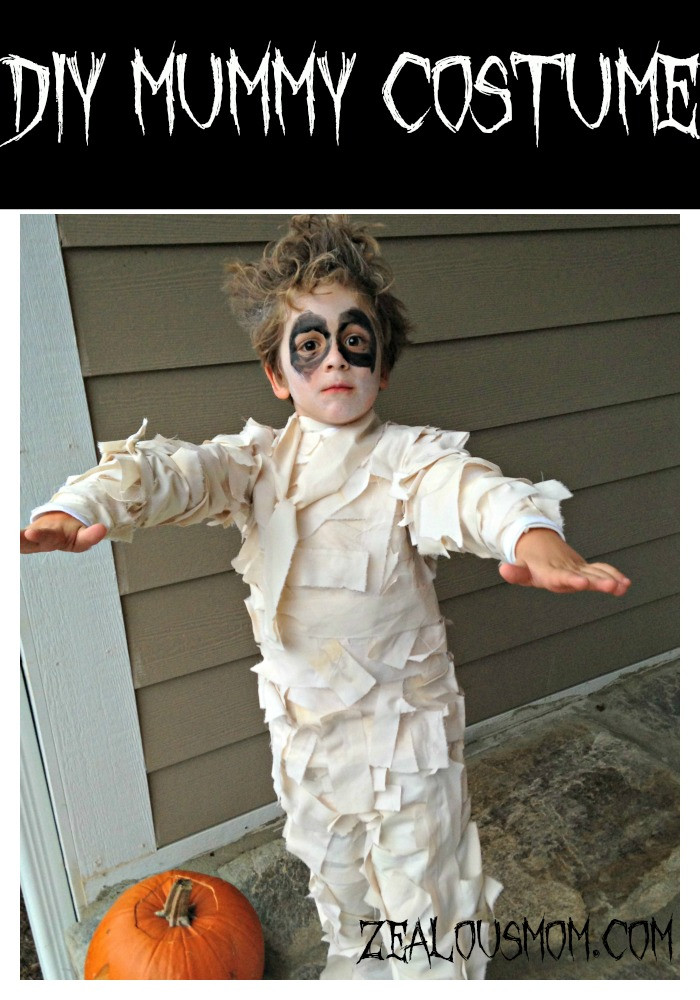 DIY Mummy Costume
 DIY Mummy Costume Halloween DIY Zealous Mom