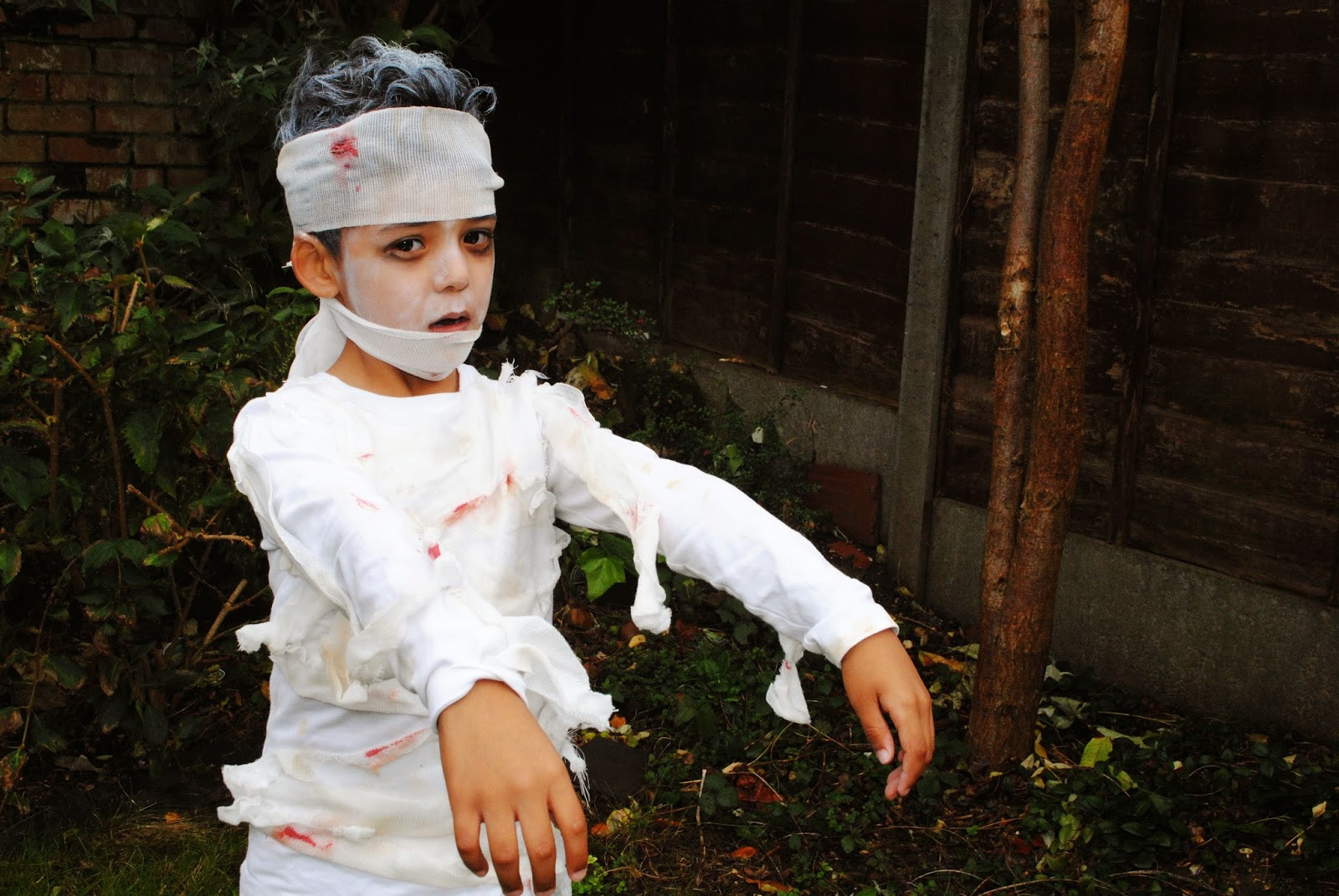 DIY Mummy Costume
 No Sew DIY Mummy Costume