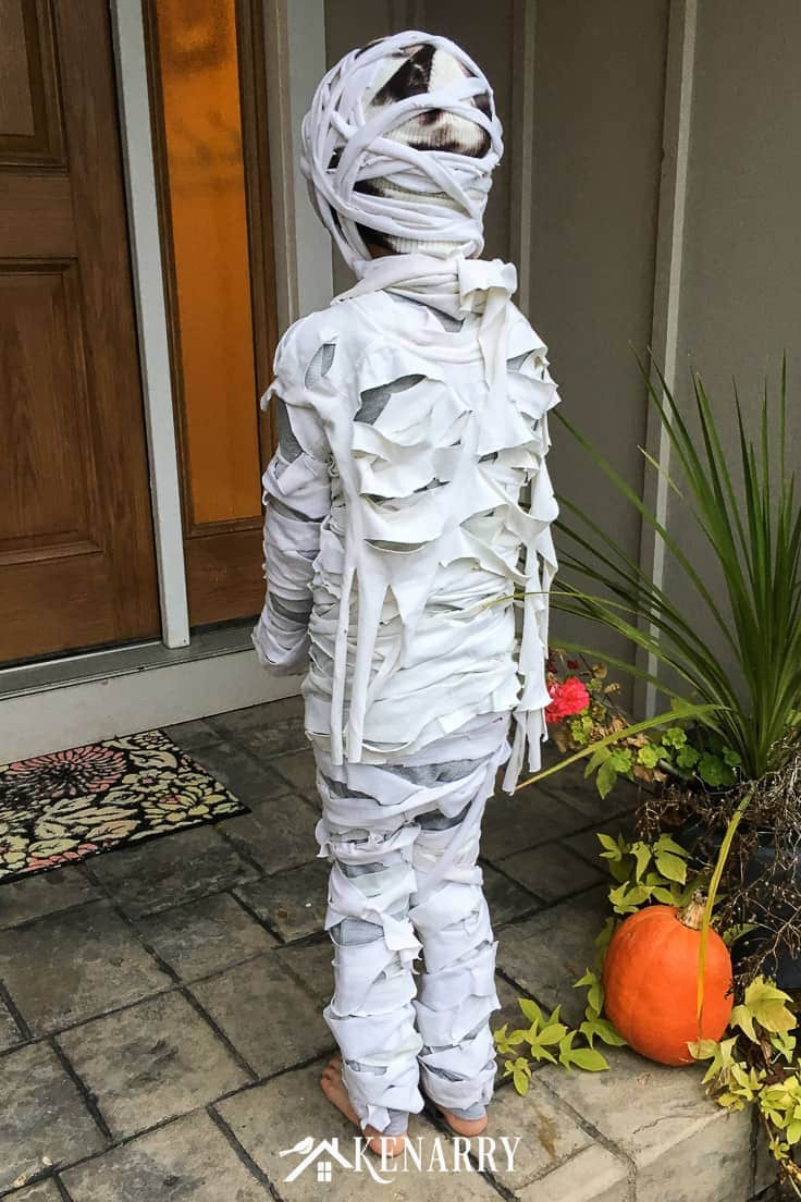 DIY Mummy Costume
 Mummy Costume for Kids Easy DIY Halloween Costume